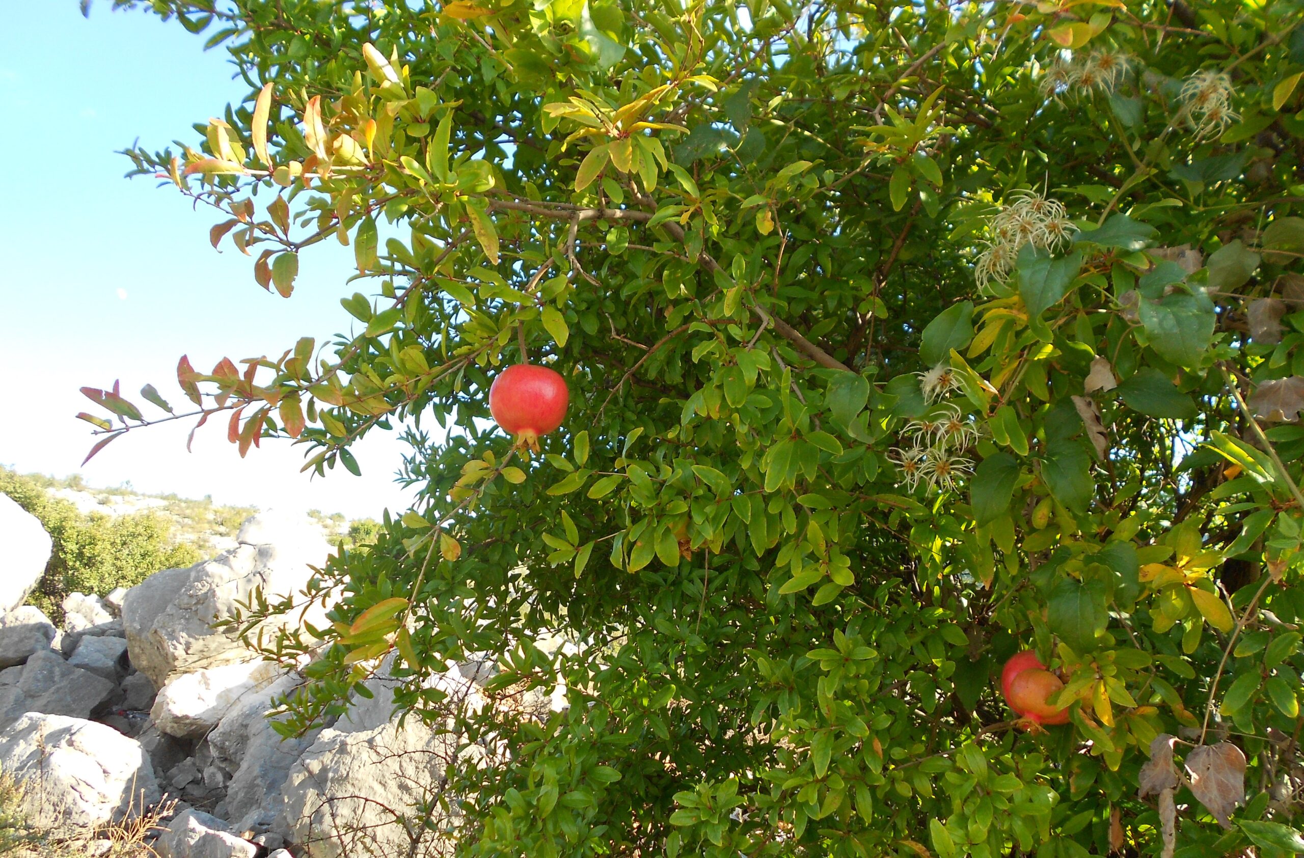 bosnia settembre 2013 096